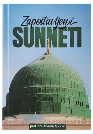 Zapostavljeni sunneti